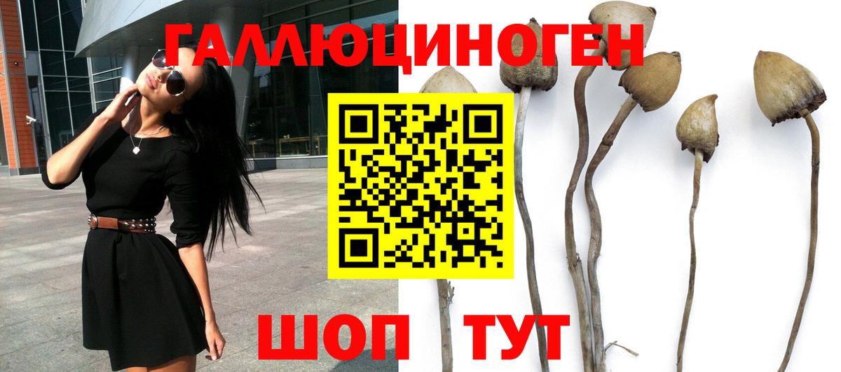 Кузнецк  Галлюциногенные грибы ЛСД  как найти   Вход с VPN  Псилоцибиновые грибы ЛСД 